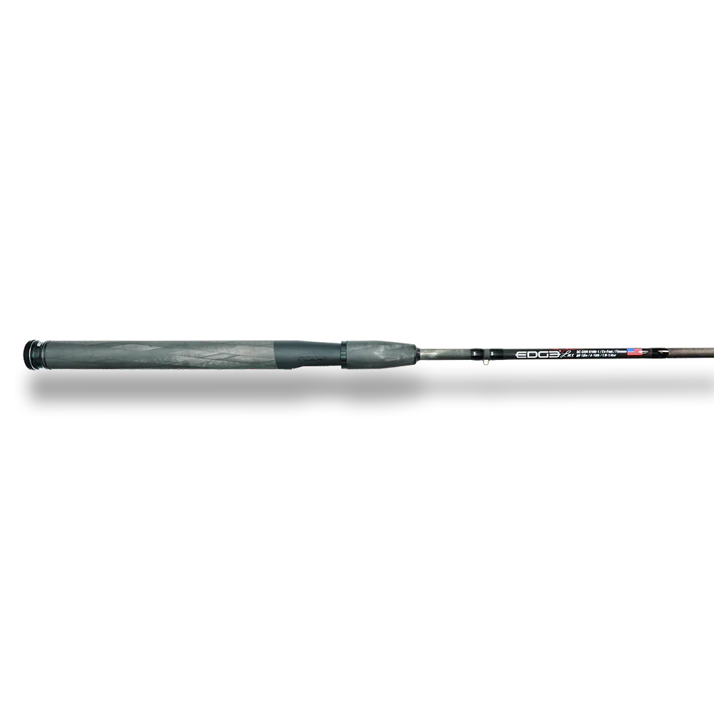 BWS DSR 6100-1