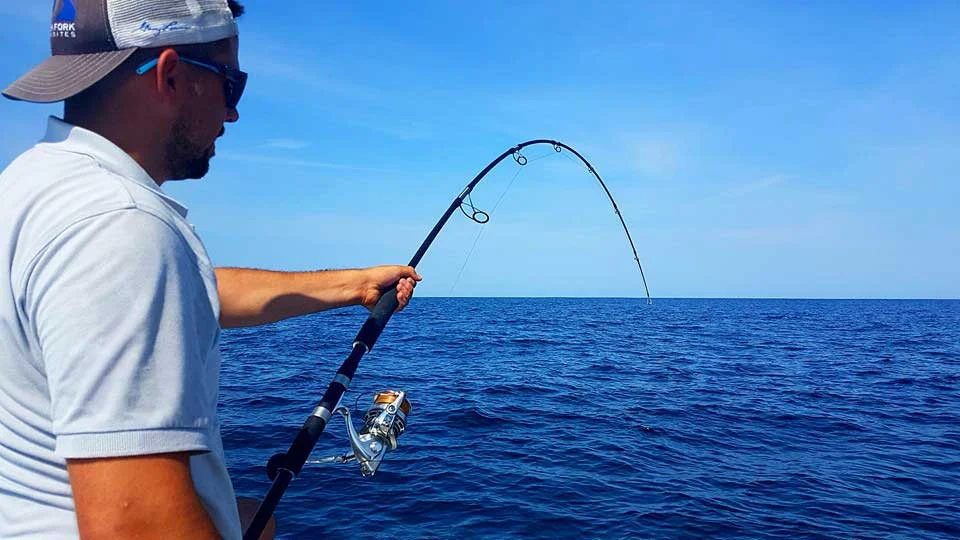 Tuna Express R710 - Image 6